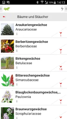 Bäume und Sträucher android App screenshot 5